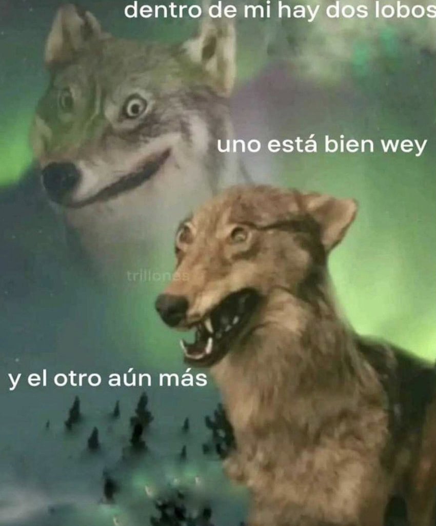 stupid Mexican wolf meme